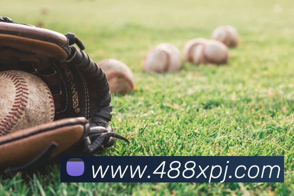 新葡京在线官网服务体系